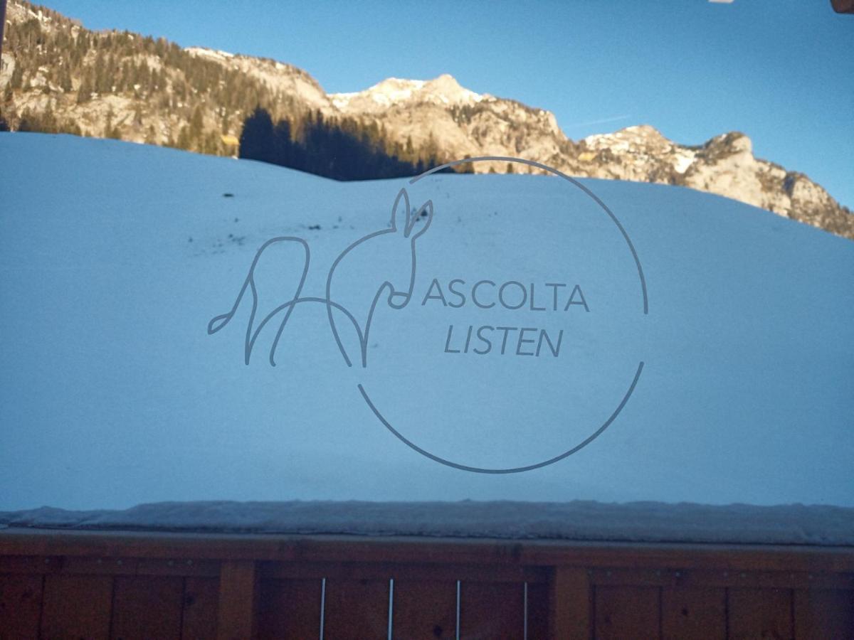 Maison Boutique Fior D'Alpe サッパーダ エクステリア 写真